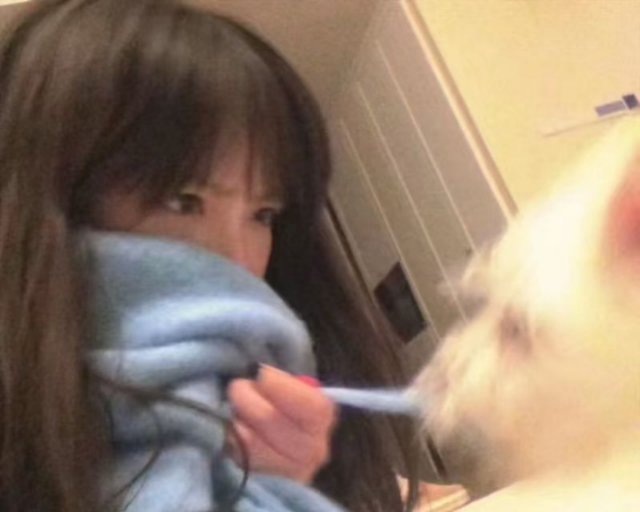 悉尼火车上的view，有人懂吗🥺