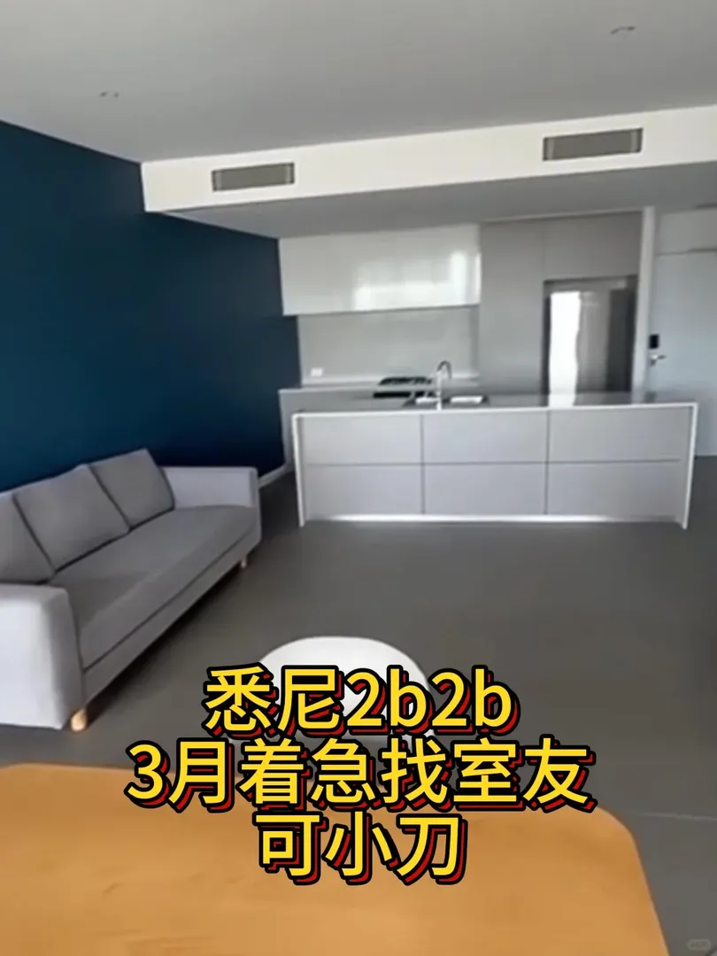 雪梨3月著急蹲室友2b2b 包家具水電