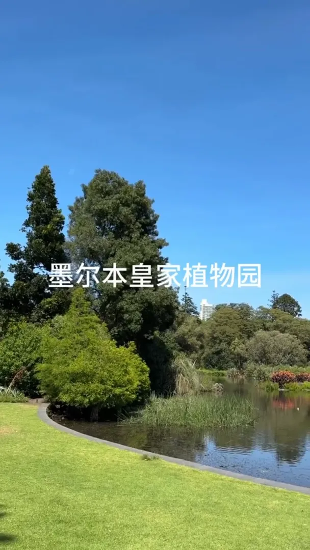 墨爾本周末好去處！皇家植物園🌳