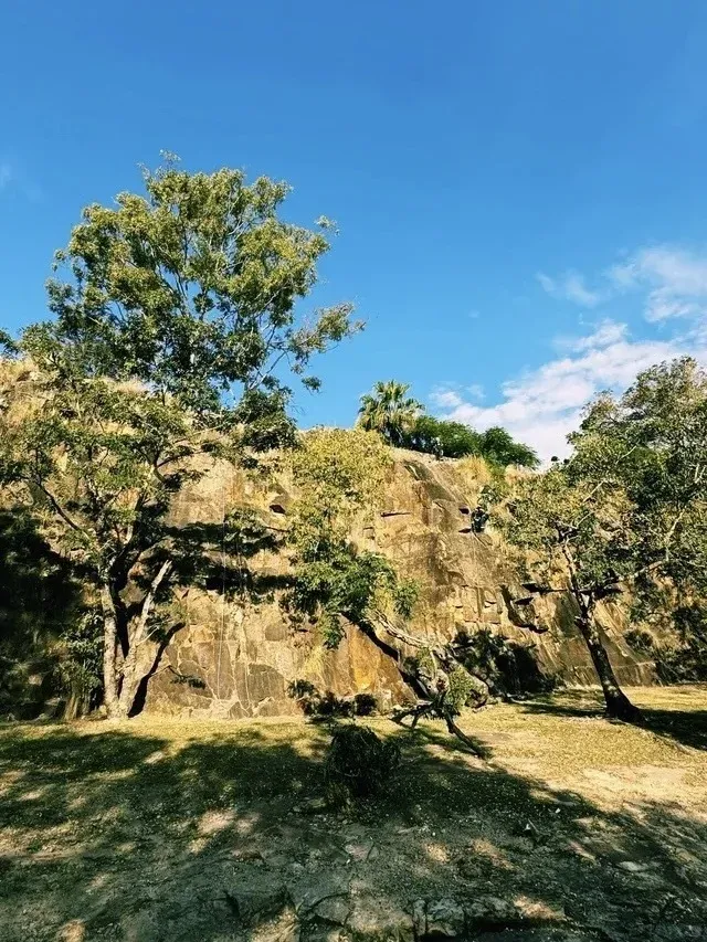 終於有人告訴我布里斯班該去哪玩了