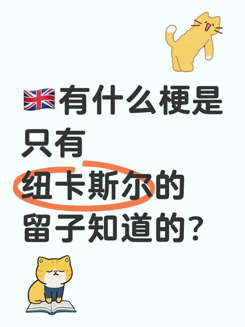 有什麼梗只有紐卡的留子才懂？