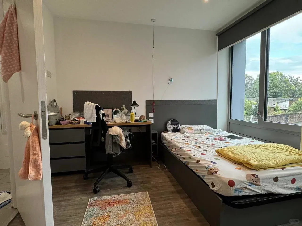 出倫敦漂亮的studio🥹可短租