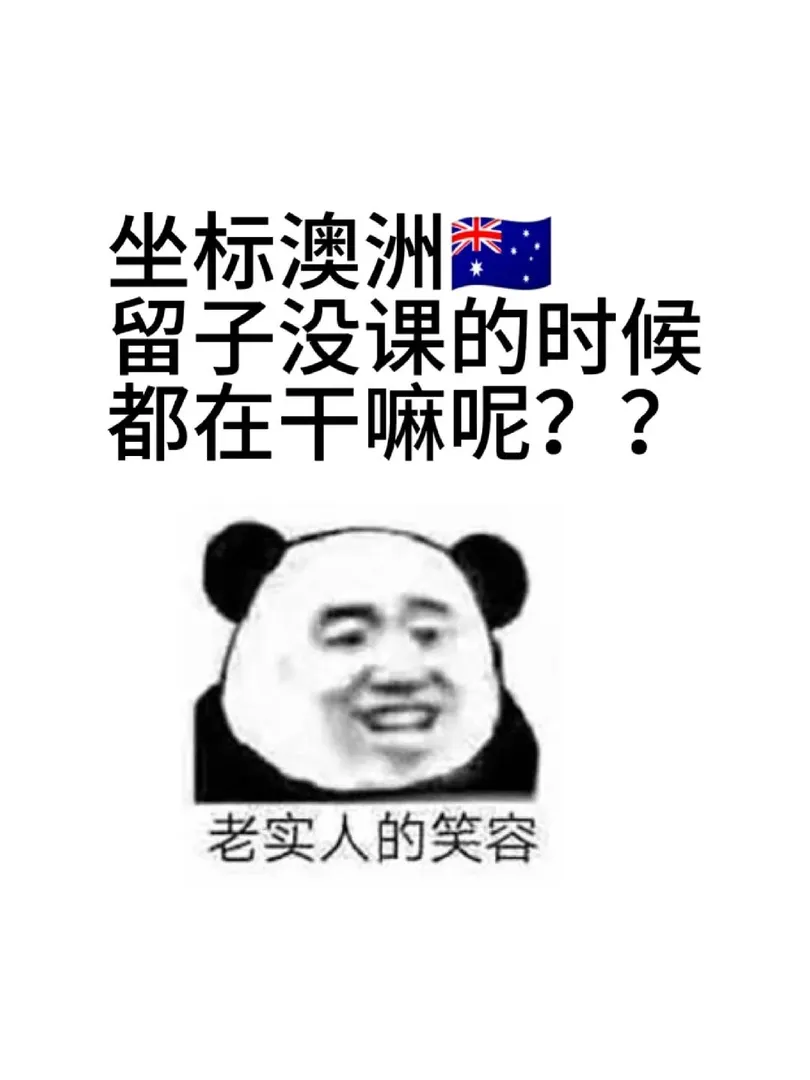 🇦🇺澳洲留子沒課的時候好無聊啊啊啊