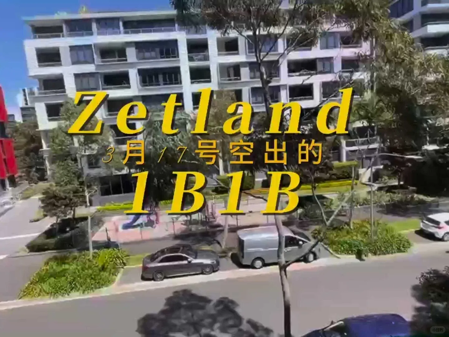 雪梨Zetland的1b1b好美呀❗️