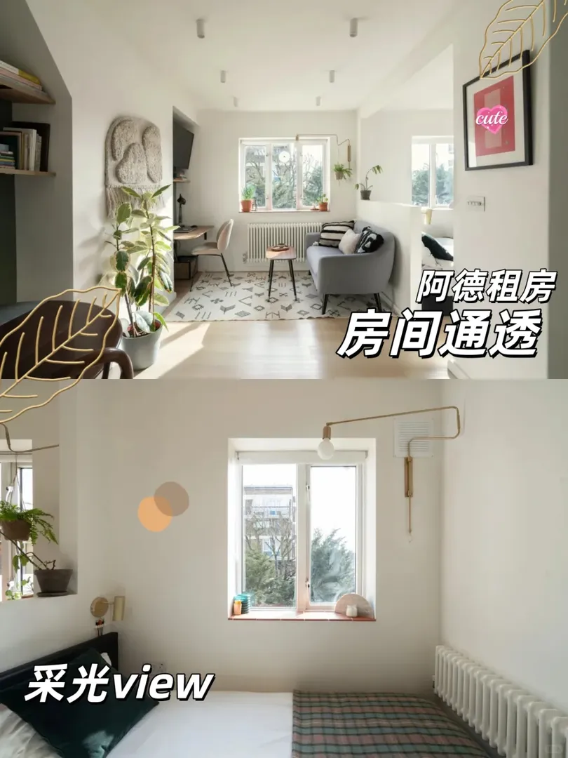 阿德一居室｜找新主人啦｜及限出