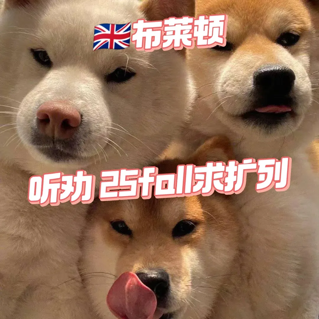 🇬🇧布萊頓/聽勸 我來報團啦！