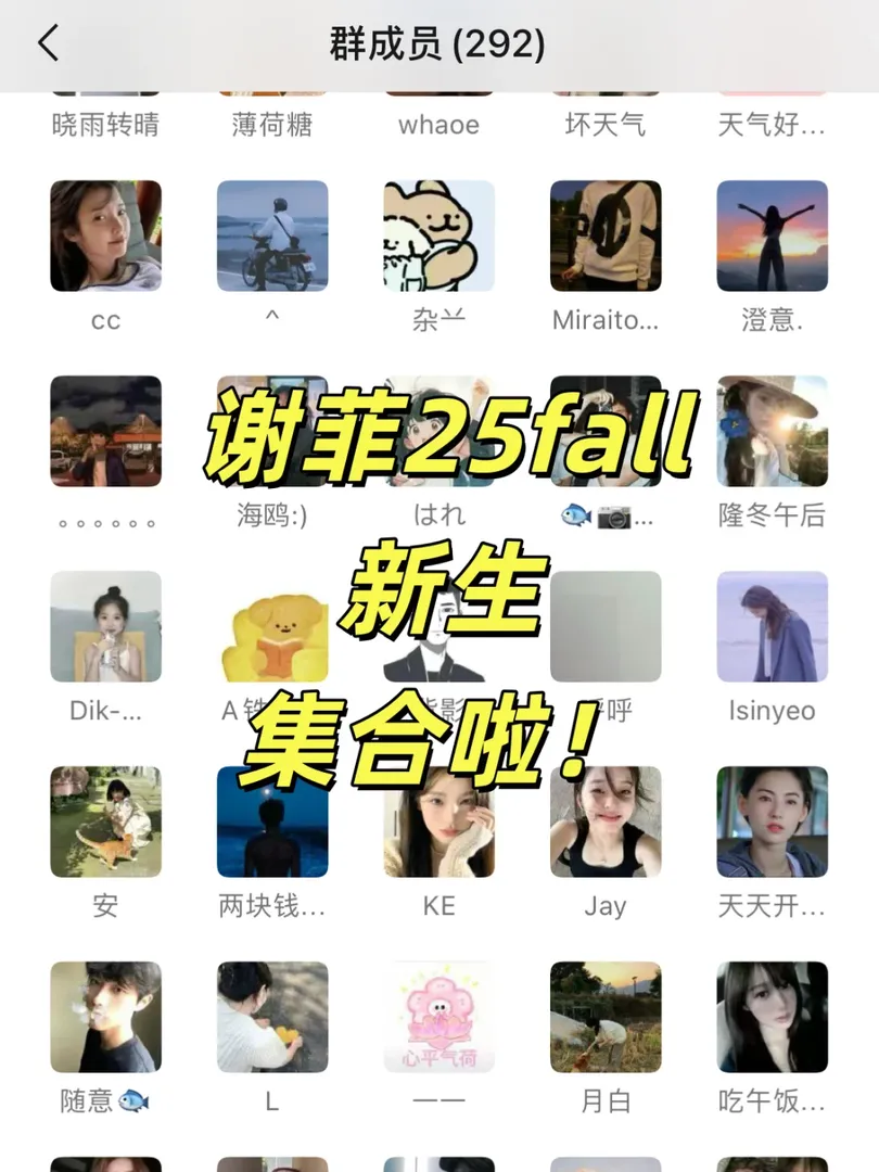 找到組織啦，謝菲25fall寶子們，快集合啦！