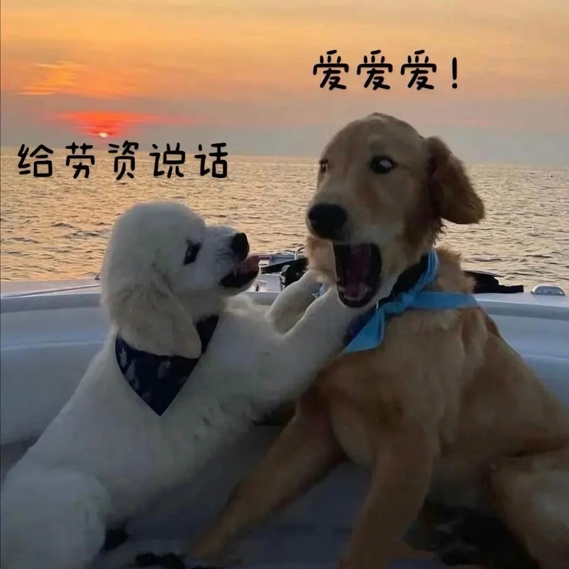 雪梨25s1的留子們看過來啦😁