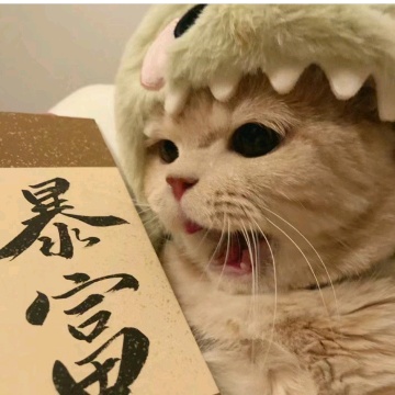 諾丁漢2b2b拼女生室友!!接受養🐱~