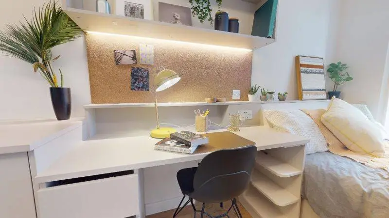 谢菲租房｜89pw市中心宝藏🏠