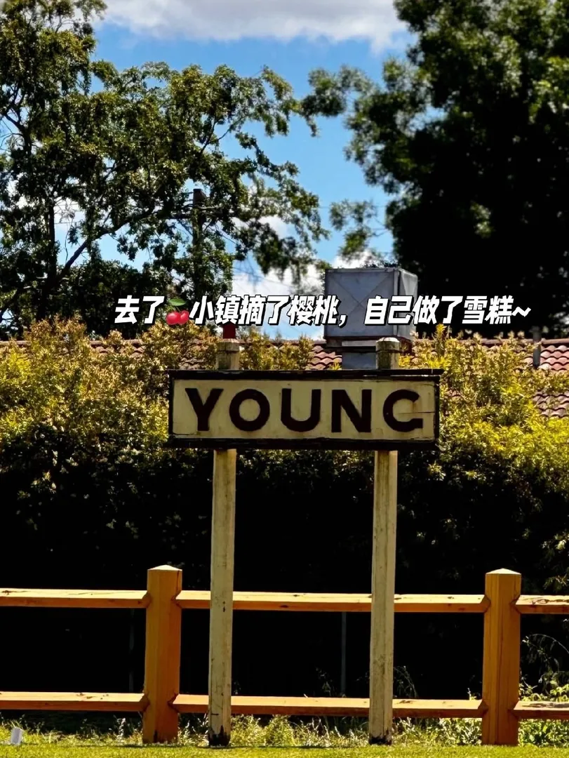 留子日常🇦🇺來這幾個月 留子們還好嘛