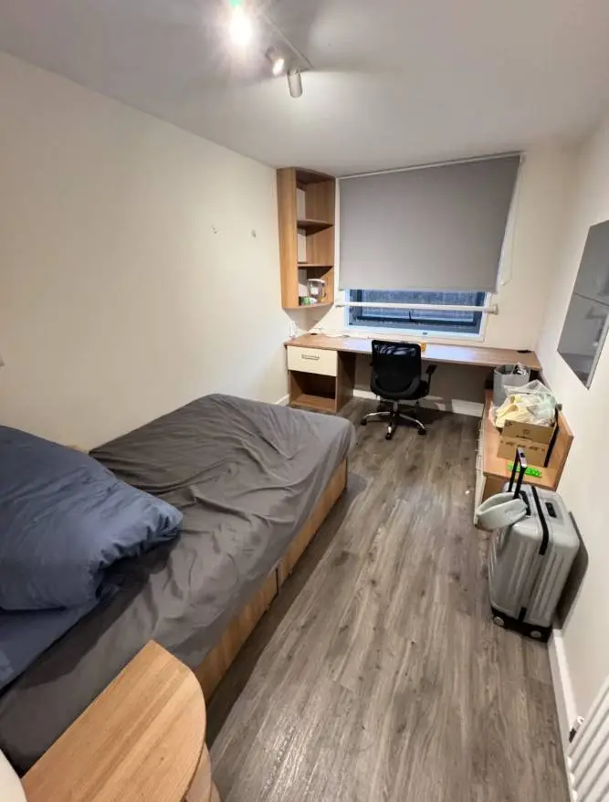 🏠倫敦租房必搶！UCL拼室友300+🏡