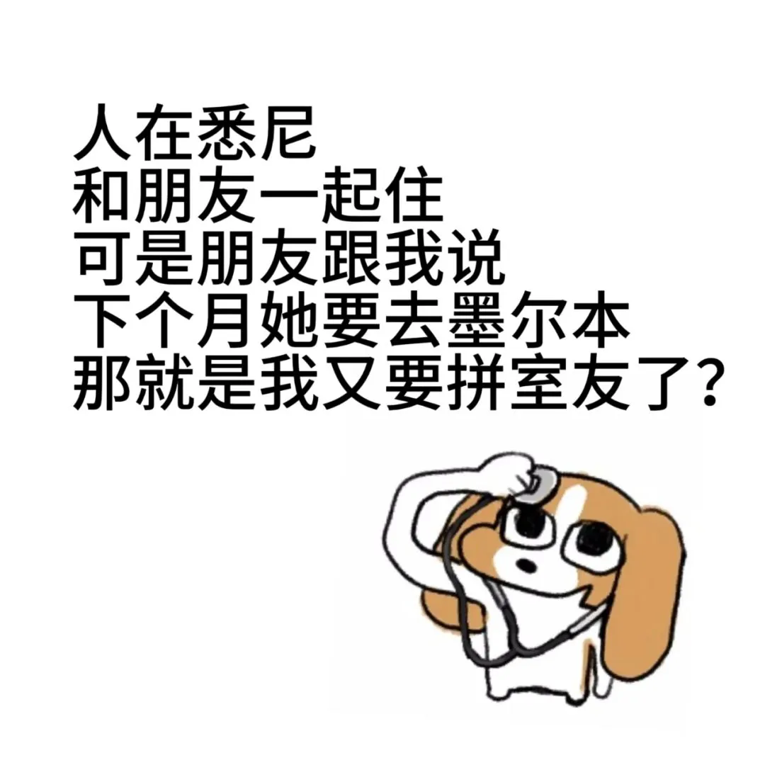 好好好，很不錯，那我十二月拼室友有人麼