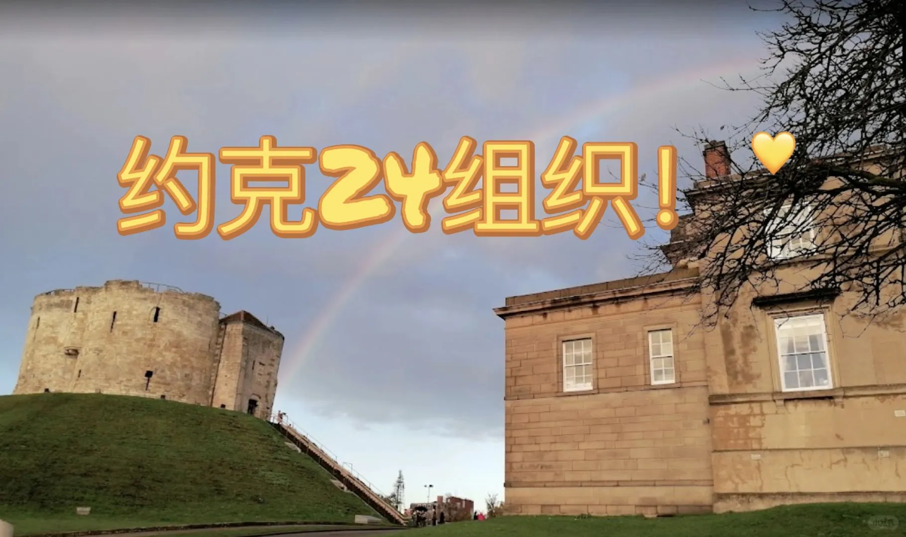 約克大學蹲個組織24fall抱抱團！