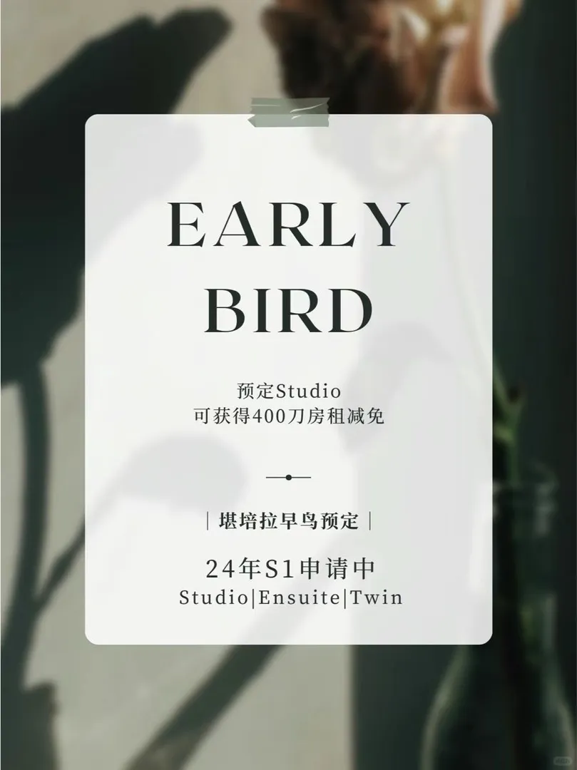 陽光坎培拉，暢享舒適公寓生活🌞🏙️