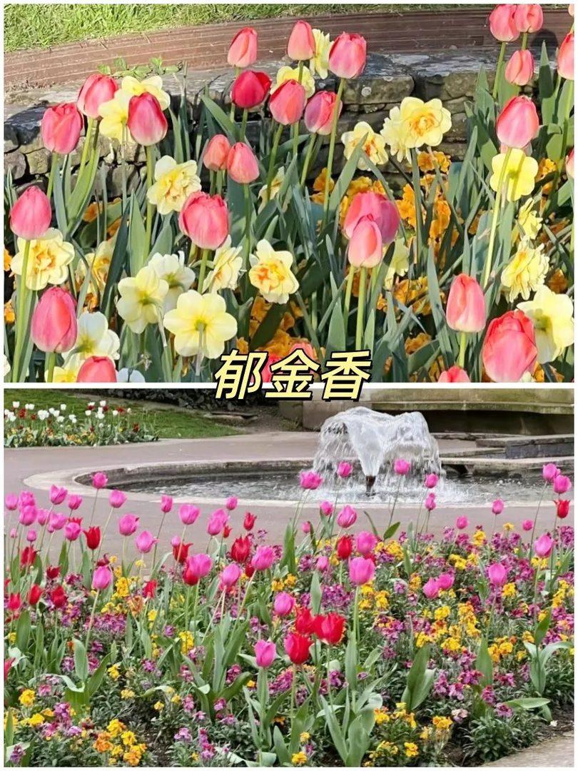 倫敦超全賞花好去處｜附花期版