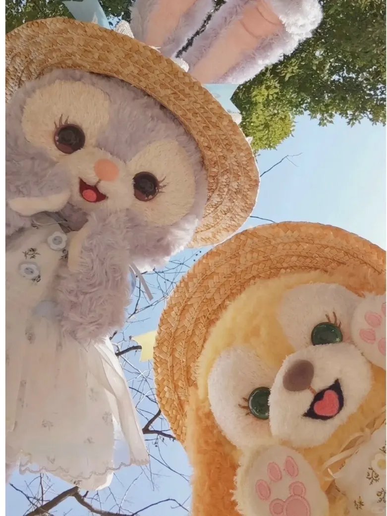 愛寶appeal指南，乾貨來嘍