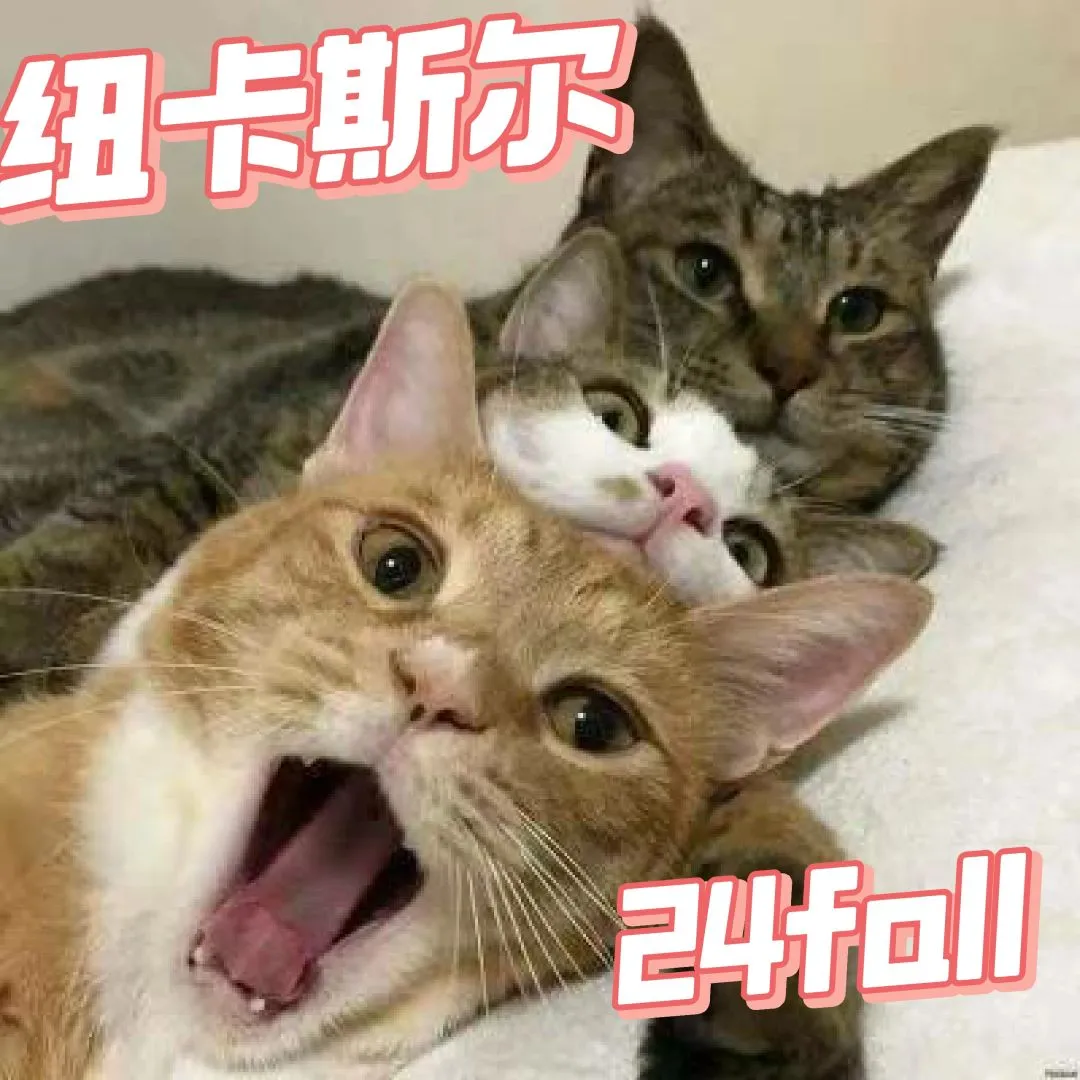 紐卡24fall組織來咯！！！