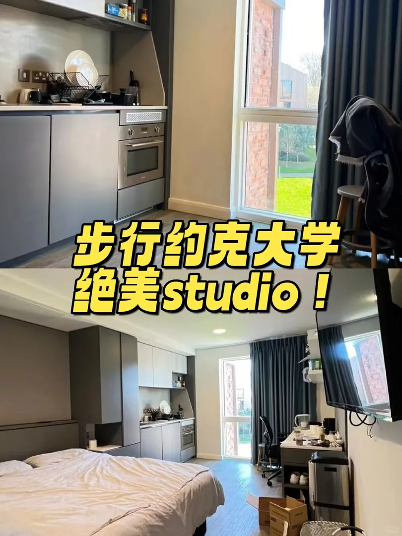 約克大學studio，259包bills~