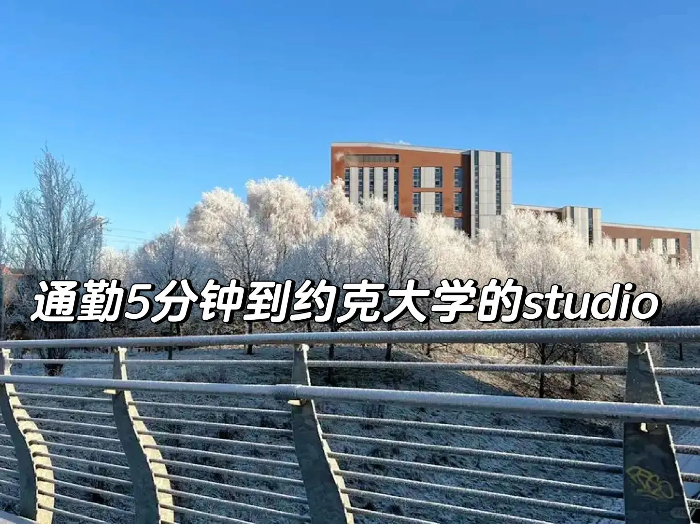約克24fall找🏠的姐妹看過來