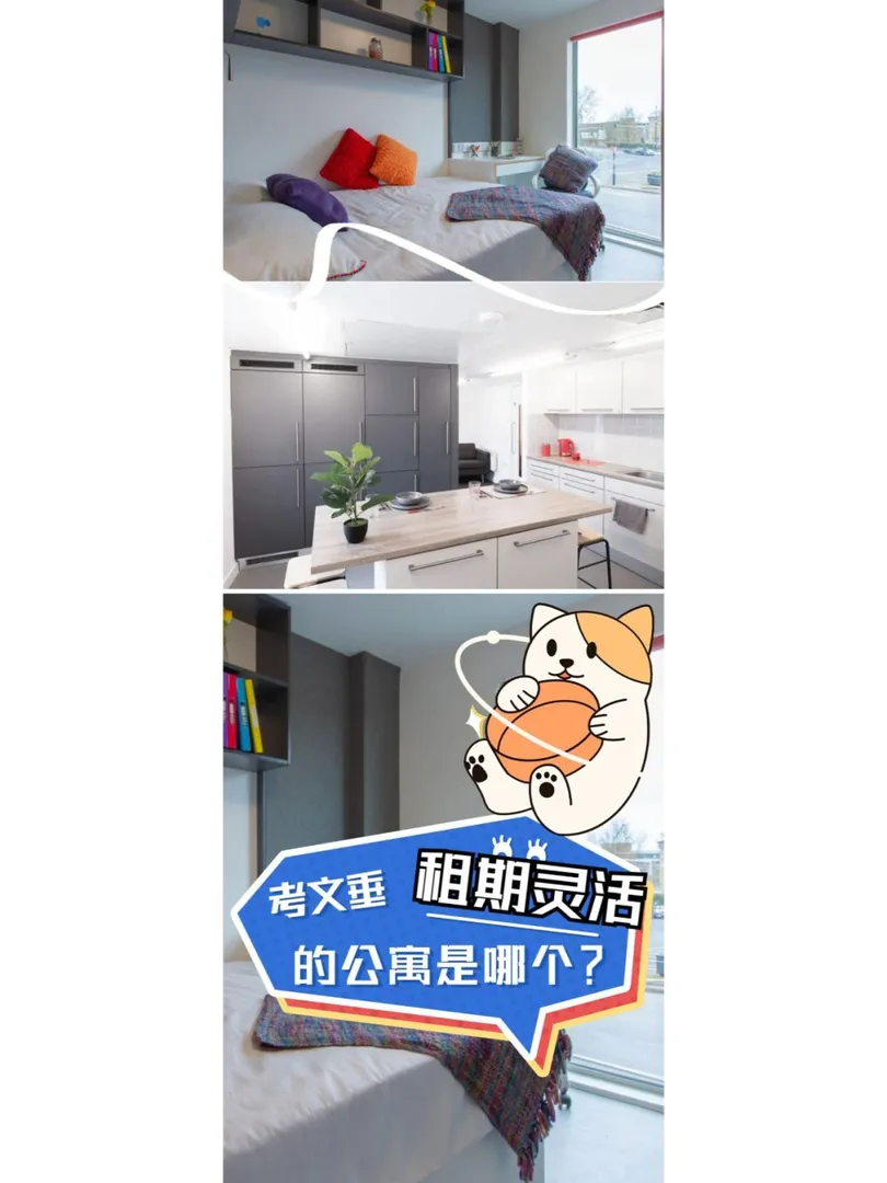 阿德萊德離學校近，短租大房間🌸🌸🌸