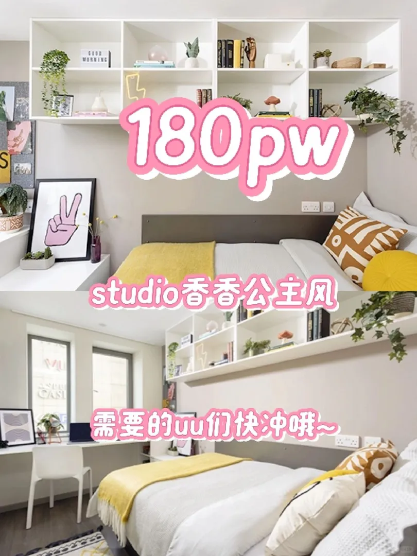 offer被拒了！找轉租180pw！studio