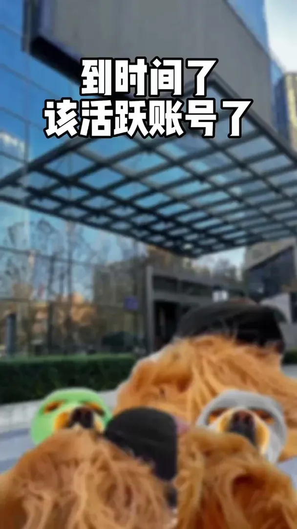 官號應該怎麼弄啊在線等