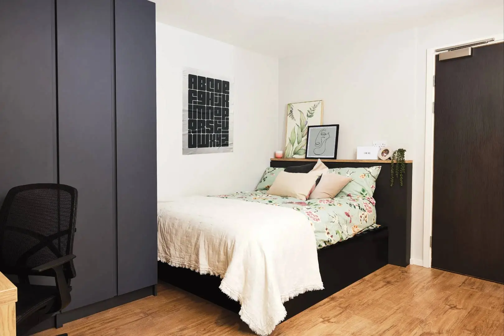 🇬🇧利茲vita studio找個好心人