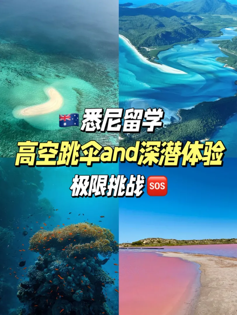 ✨雪梨留子必看！凱恩斯遊玩腎上腺素拉滿！
