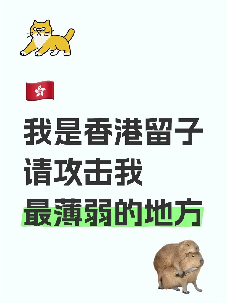 🇭🇰我是香港留子請攻擊我最薄弱的地方