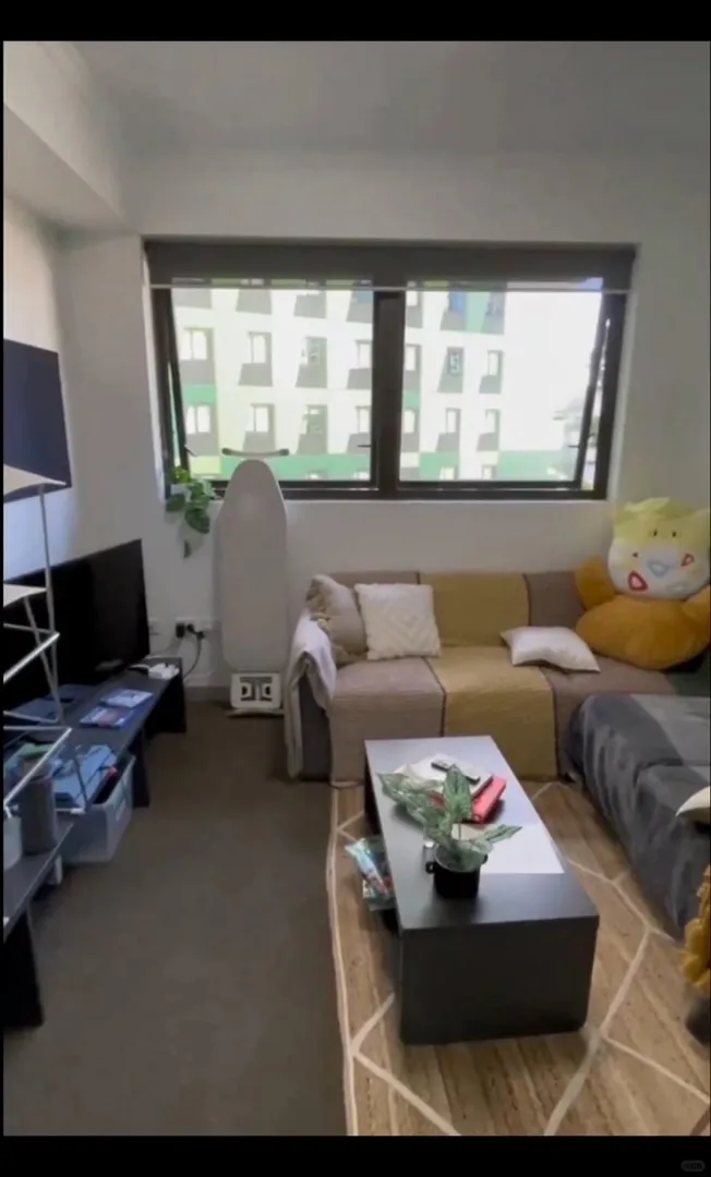 在布里斯班住這套公寓真的不用擔心沒人玩