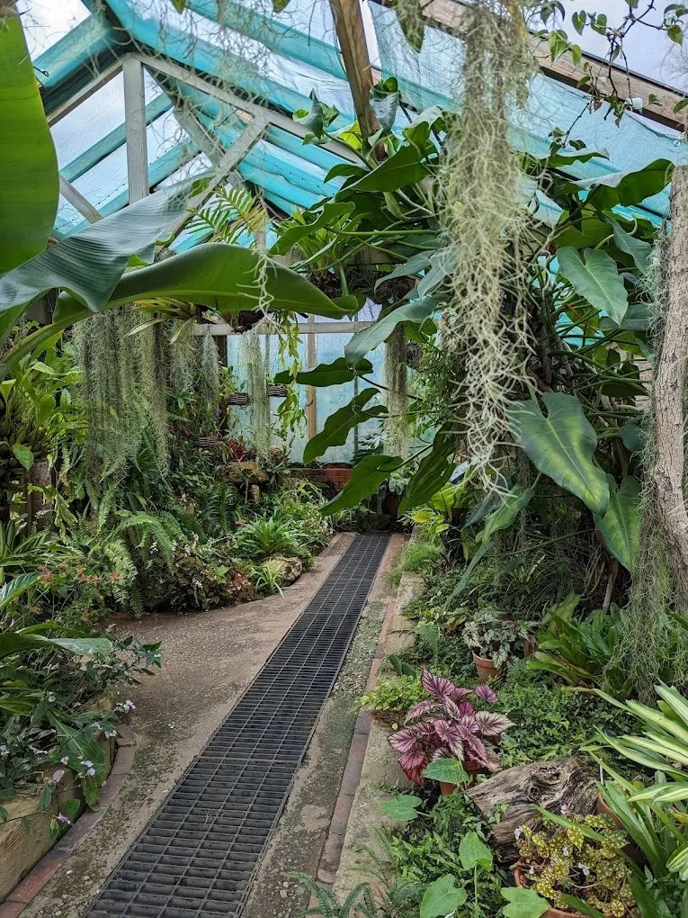 🇬🇧屬於伯明罕的「莫奈花園」哇