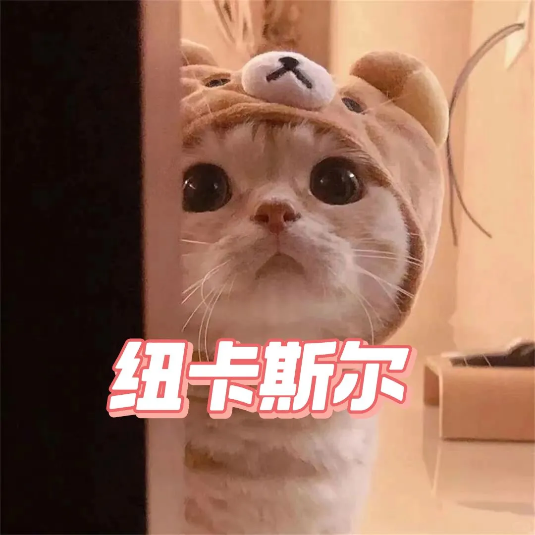 🇬🇧紐卡斯爾還有剛考完雅思友友嘛