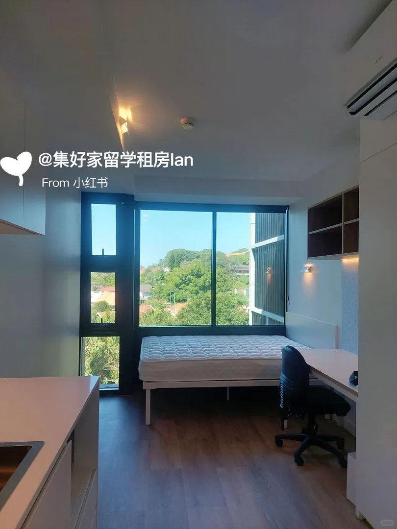 悉大寶子們有福了，🆓班車直達學校