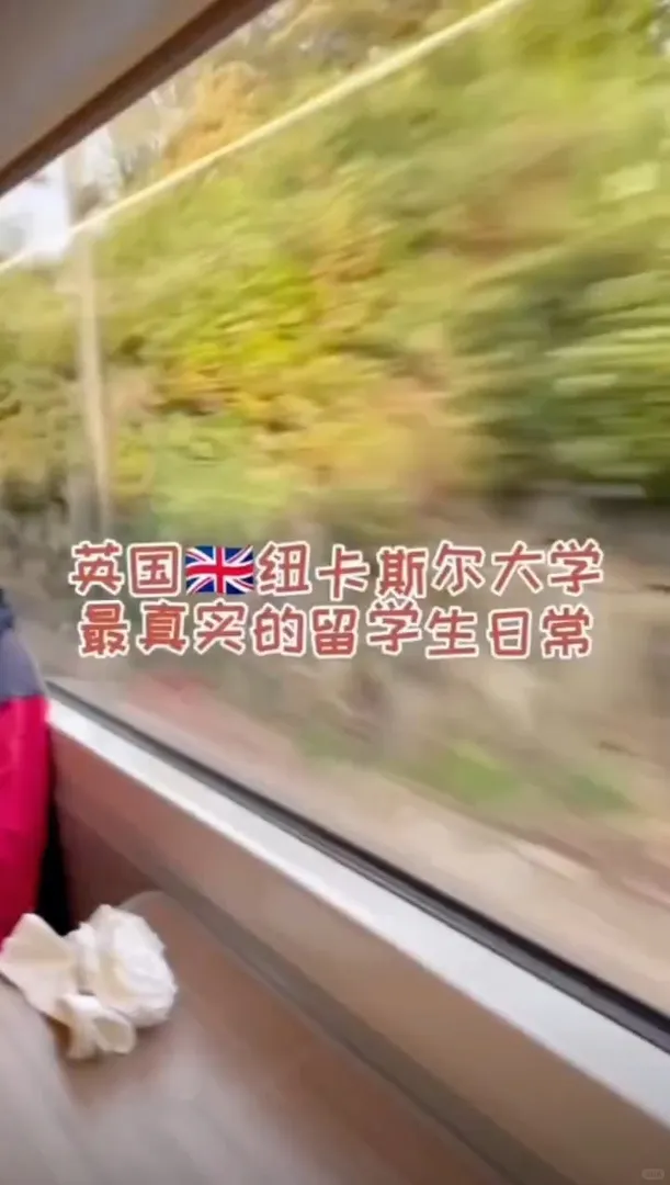 紐卡新手留子自己去留學第一天幹什麼～