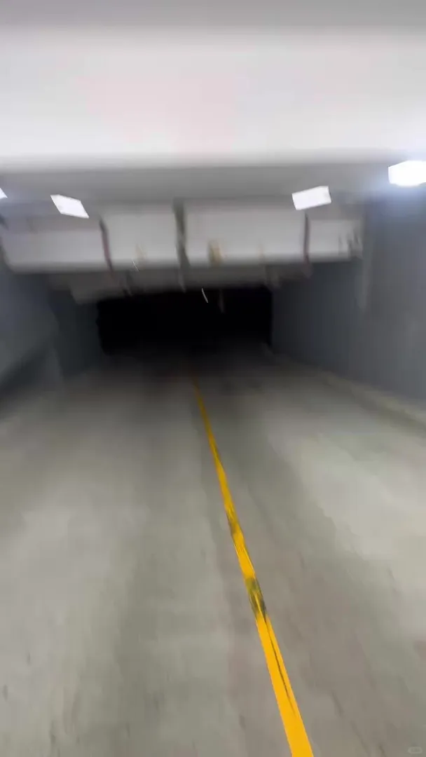 雪梨 Rosebery 出一個車位