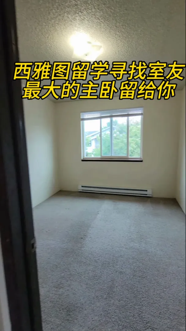 西雅圖留學找室友｜低💰大採光的理想公寓