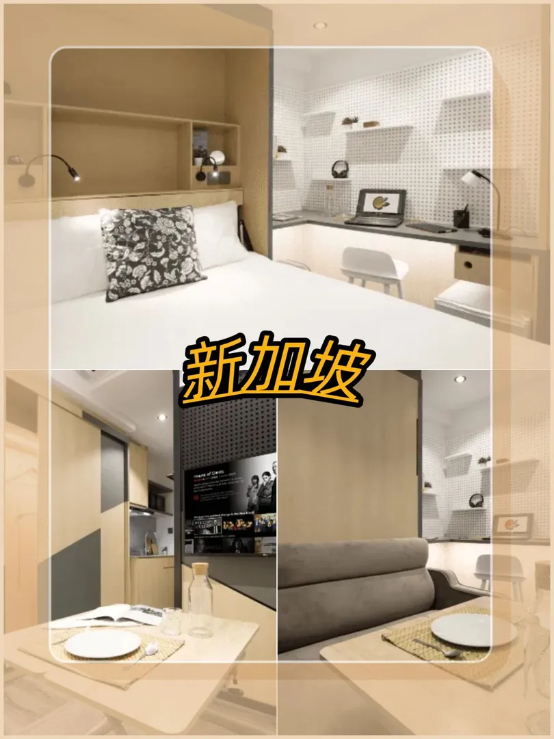 🌿新加坡Coliwoo 1A｜法學院隔壁的樹屋公寓