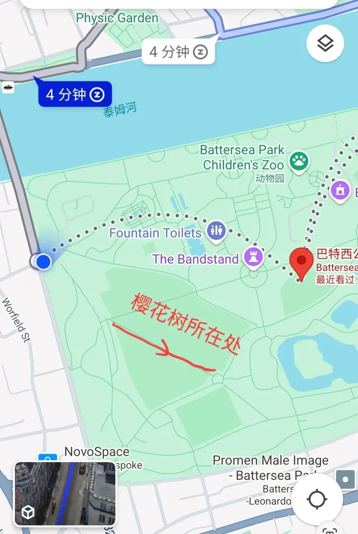 巴特西公園櫻花拍照打卡處👉