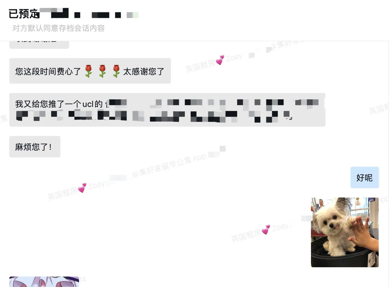 作為英國租房中介的暖心時刻