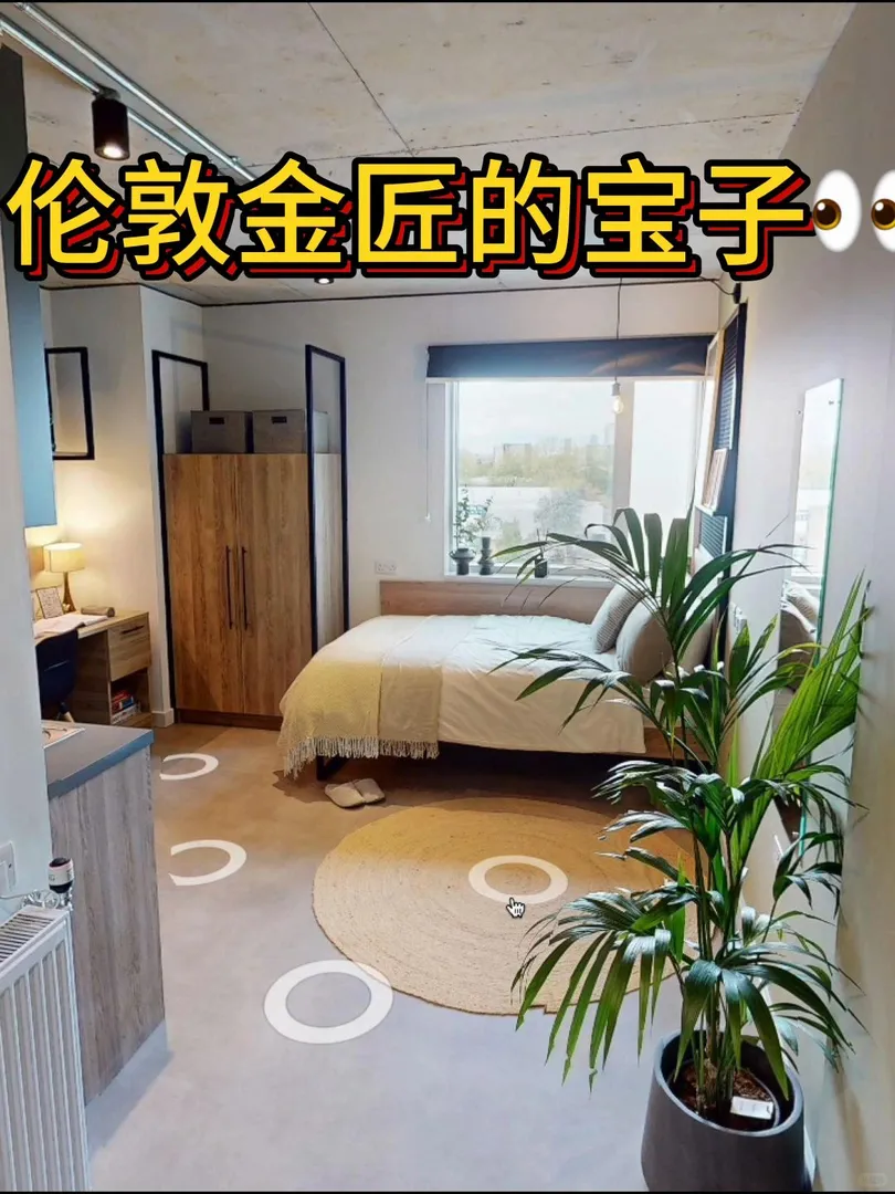 倫敦租房｜金匠、坎伯韋爾👀