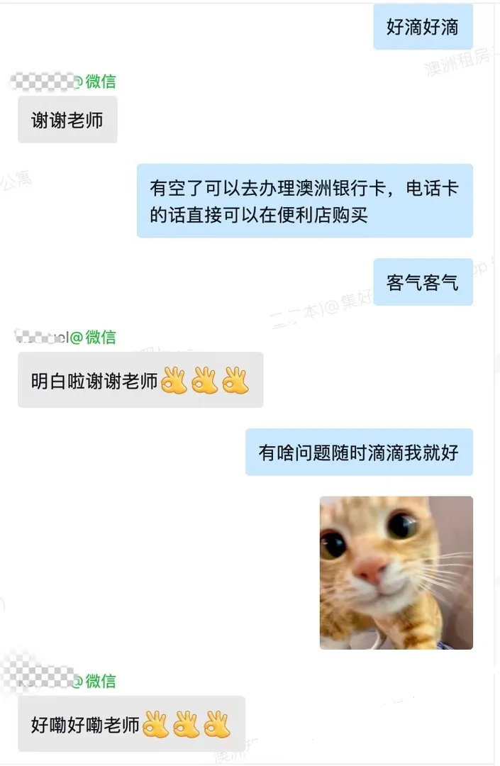 墨爾本還找不到住處嗎