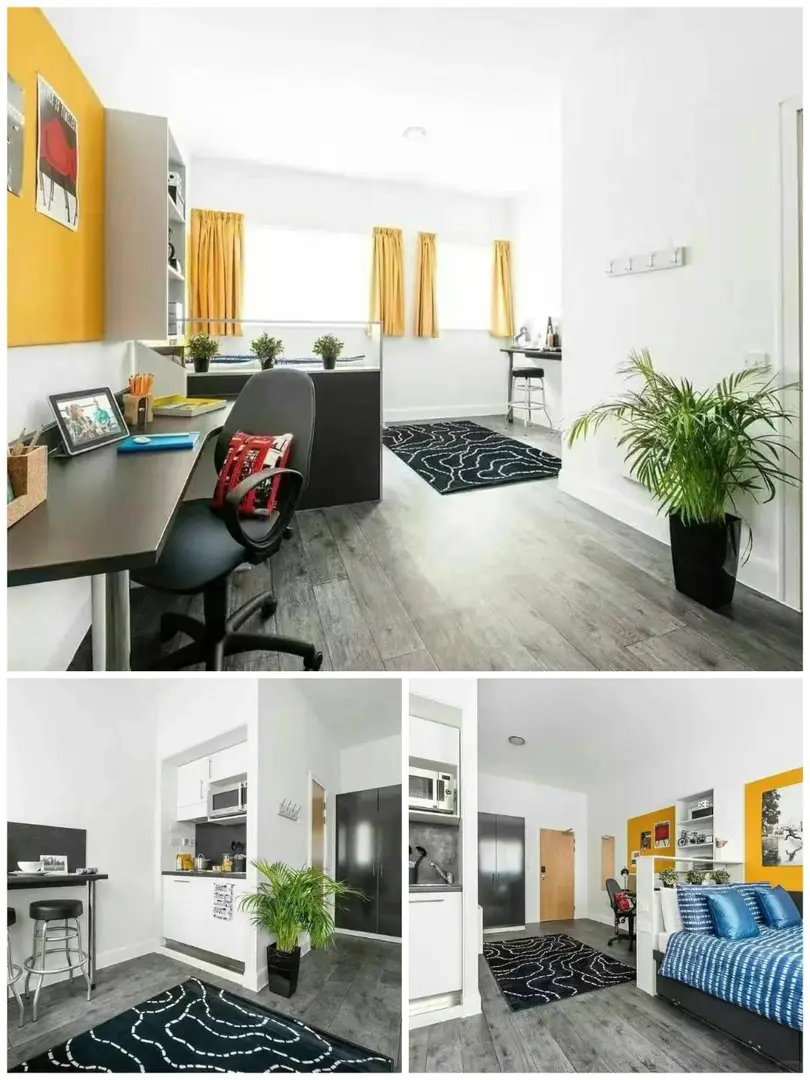 🏠倫敦租房必看！UCL旁地鐵口省心公寓