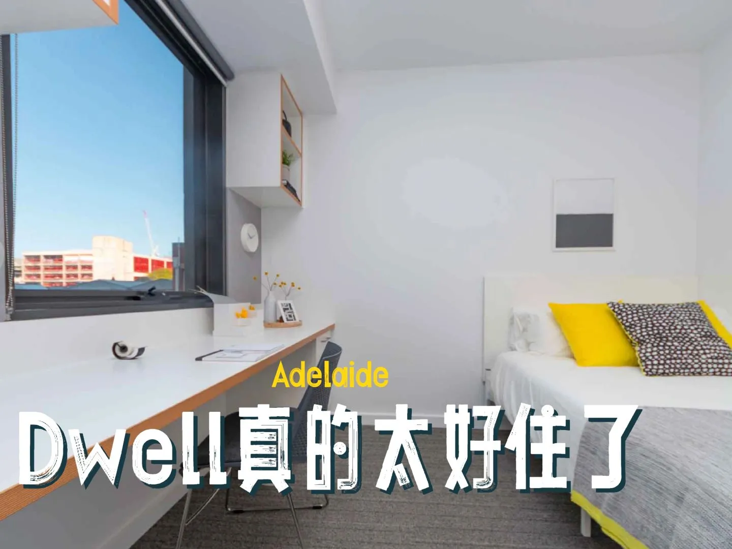 阿大寶子們，新學期快來住dwell