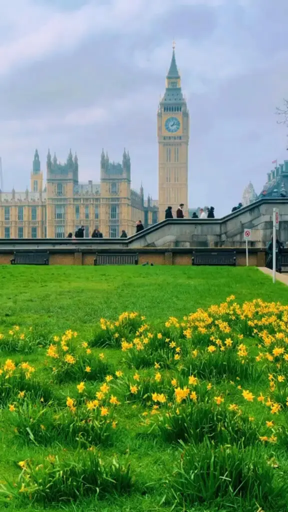 London is blooming✨