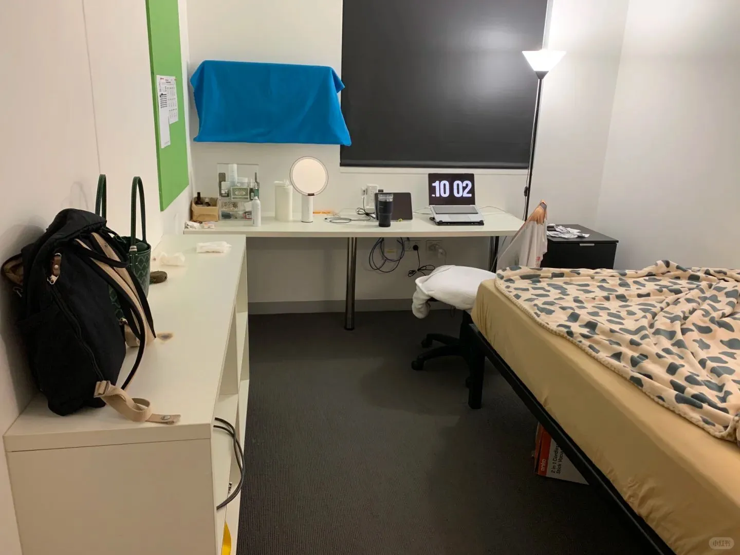 雪梨650包工作日早餐的studio真的香！