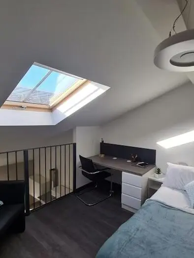 含淚😭出紐卡的loft