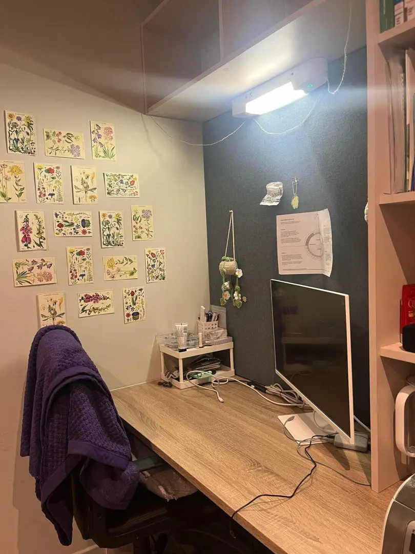 愛寶200多的studio沒人心動💓嗎！！