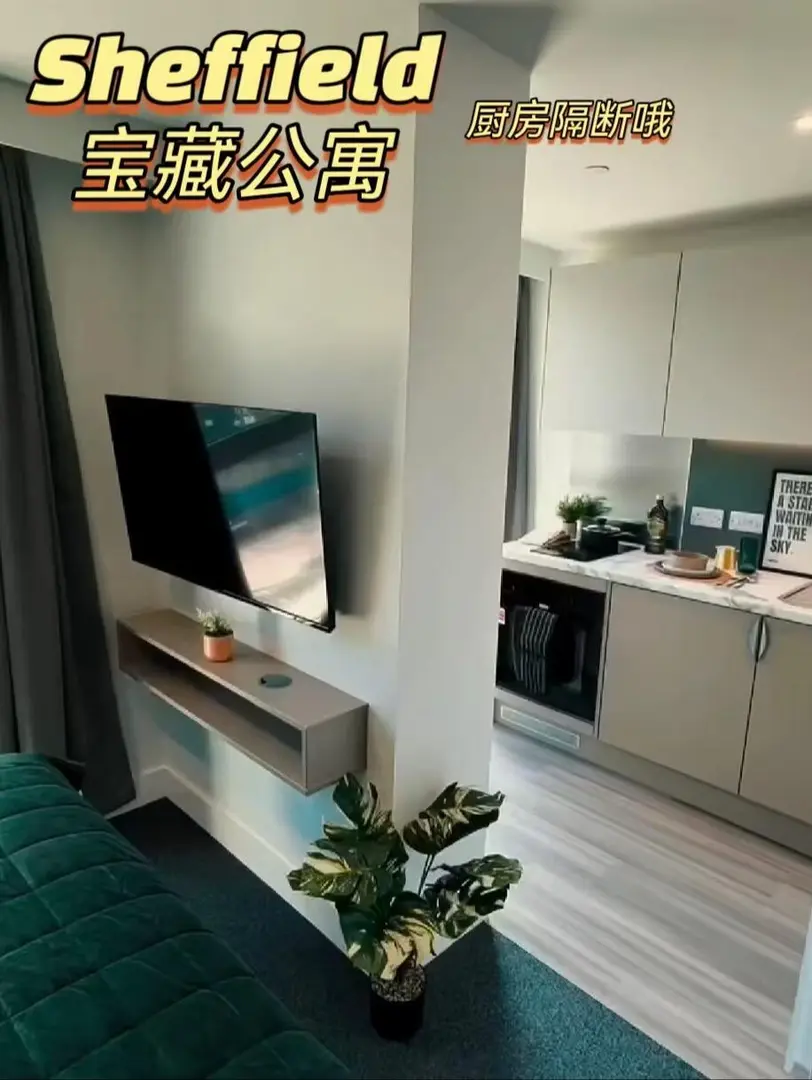 謝菲留學｜神仙寶藏新公寓來啦！🫣