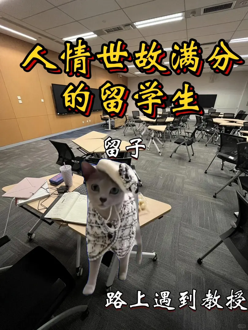 人情世故滿分的留學生